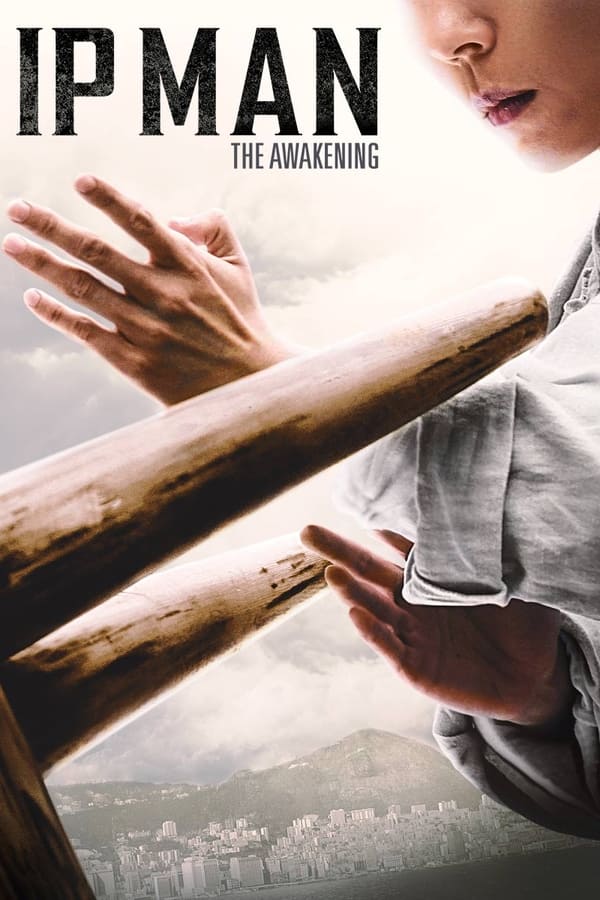 IP Man- The Awakening Master